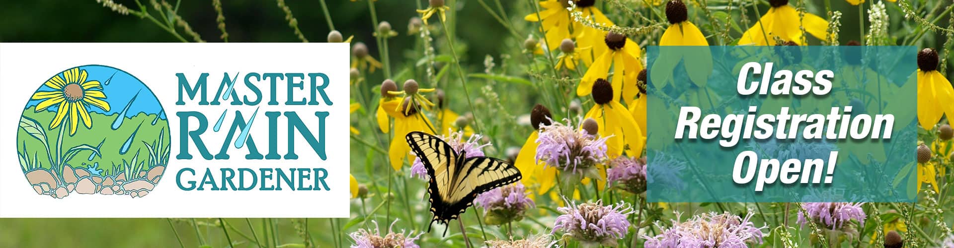 Master Rain Gardener Class Registration Open